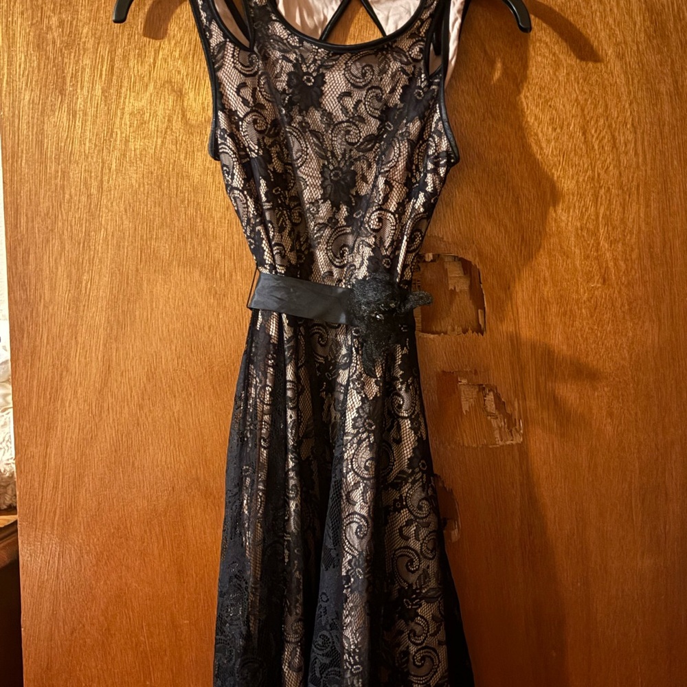 City Triangles Elegant Black and Cream Lace Midi Dress